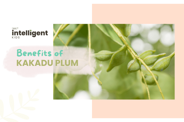 Kakadu Plum : Uses, Benefits & Side Effects - Tuco Kids