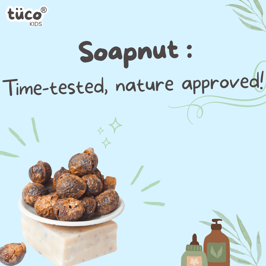 Soapnut/ Reetha : Uses, Benefits & Side Effects - Tuco Kids