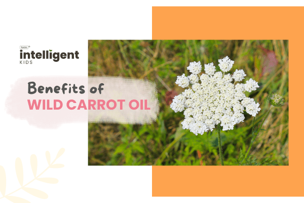 Wild Carrot Oil : Uses, Benefits & Side Effects - Tuco Kids