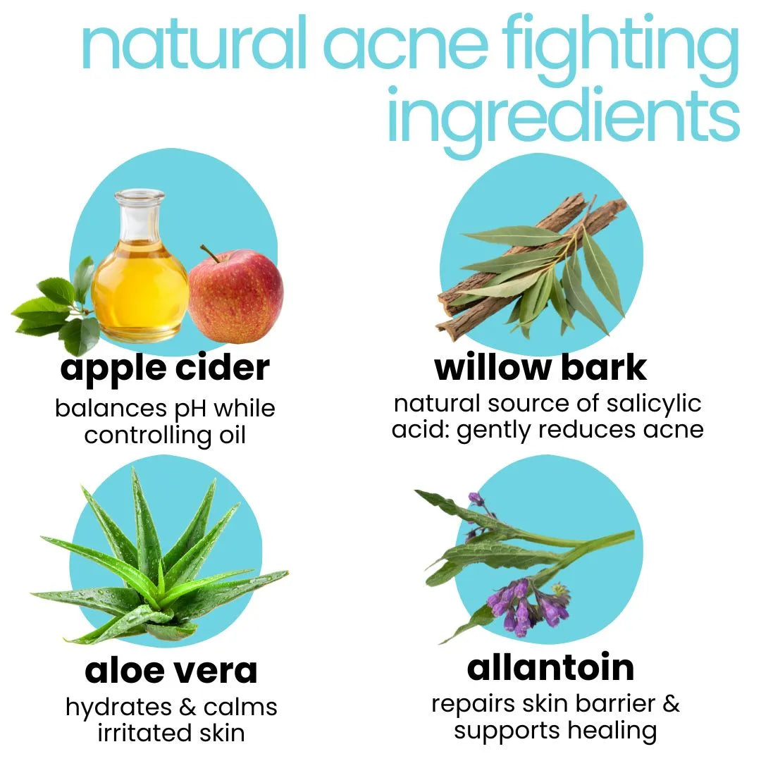 Illustration of natural acne fighting ingredients with corresponding images and descriptions.