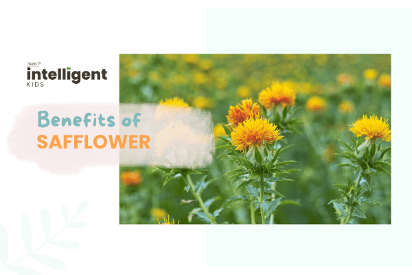 Safflower oil: Uses, Benefits & Side Effects - Tuco Kids