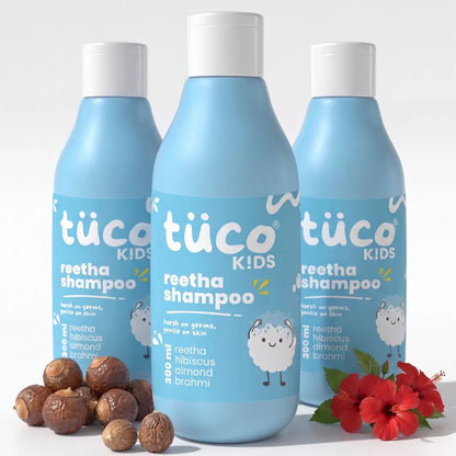 Reetha Shampoo 300 ml - Pack of 3