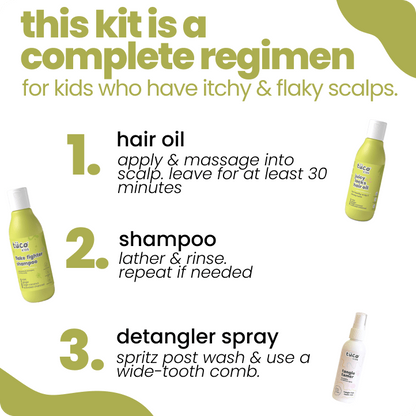 Anti-Dandruff Regimen: Shampoo + Hair Oil + Detangler Spray