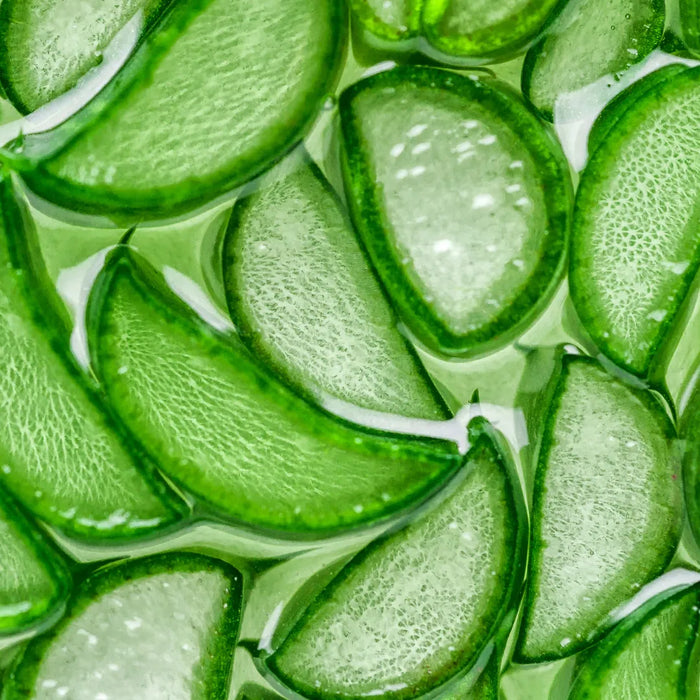 aloe vera