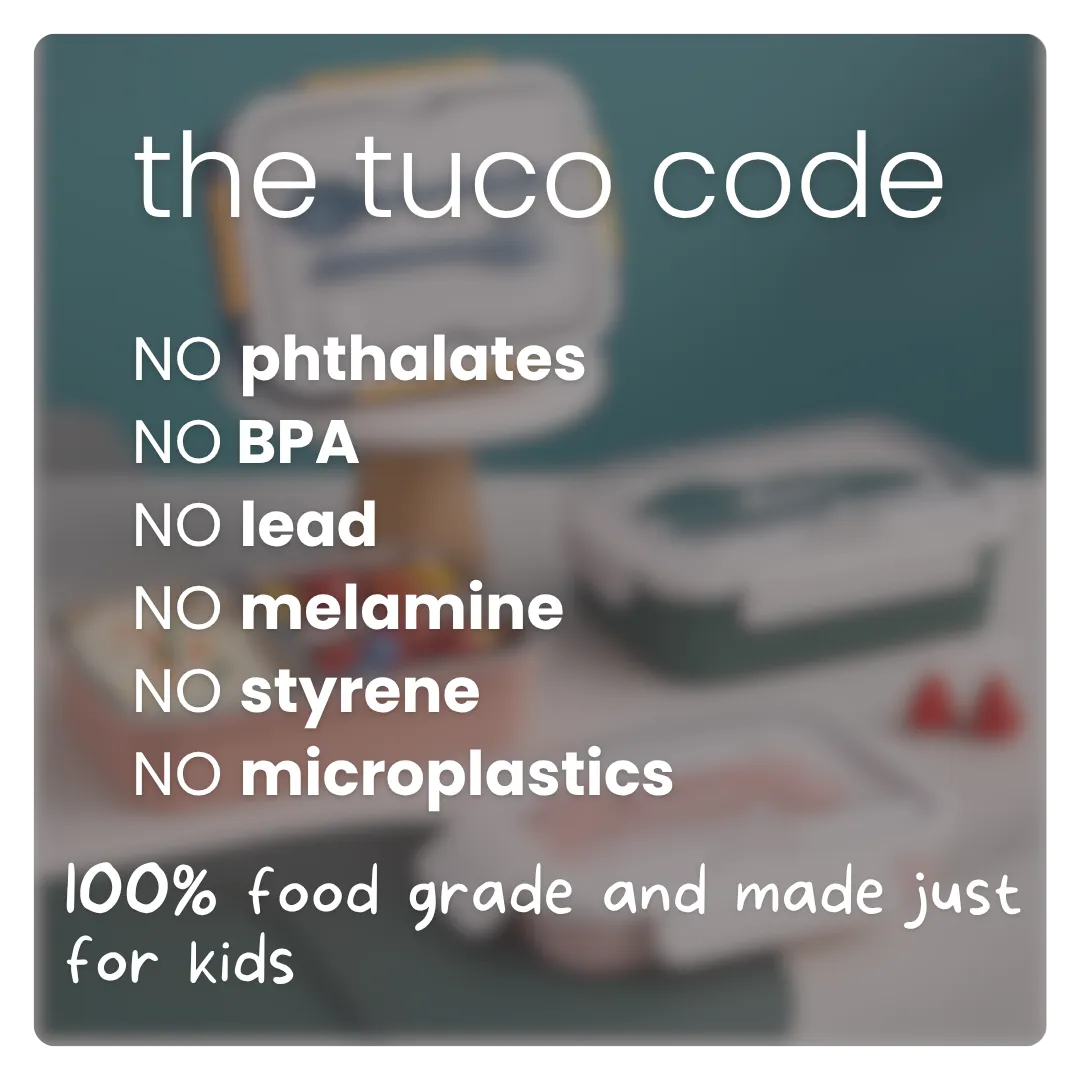 3 Compartment Stainless Steel Bento Lunch Box — image 29 | Tuco Kids