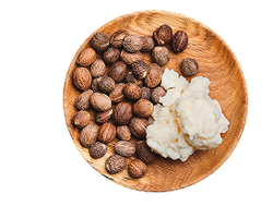 shea butter